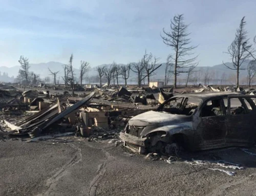 Oregon State and FEMA Wildfire Disasters and Guidance